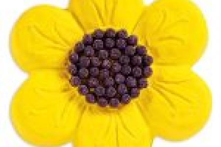 Flower pan